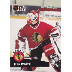 Jim Waite #530 - Blackhawks 1991 Pro Set Hockey Rookie Trading Card