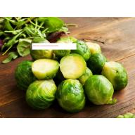Long Island Brussels Sprouts Seeds - NON-GMO - Vegetable Seeds - BOGO