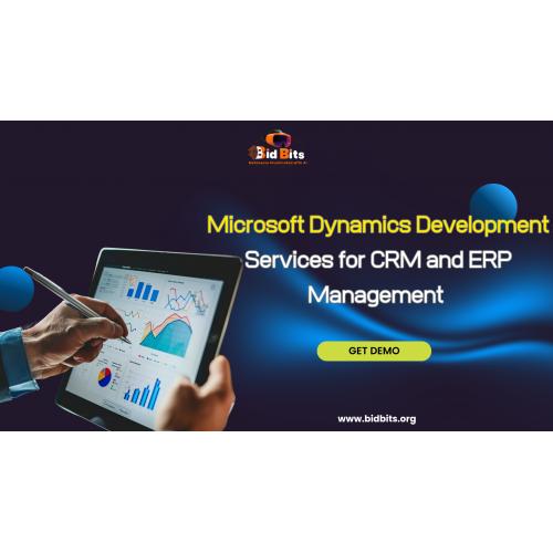 Microsoft Dynamics Development Services for CRM and ERP Management