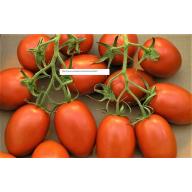 Roma Tomato Seeds - NON-GMO - Vegetable Seeds - BOGO