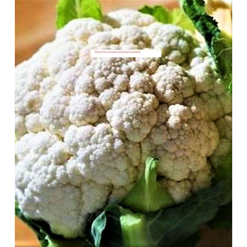 Self Blanching Cauliflower Seeds - NON-GMO - Vegetable Seeds - BOGO